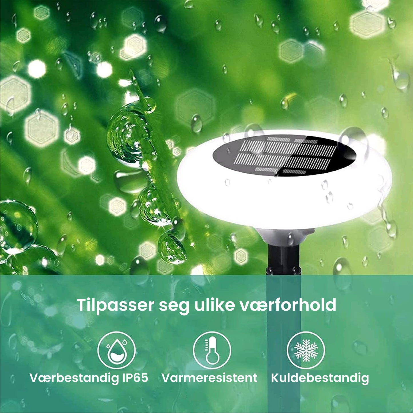Colorize - Fargerike solcellelamper for utendørs bruk