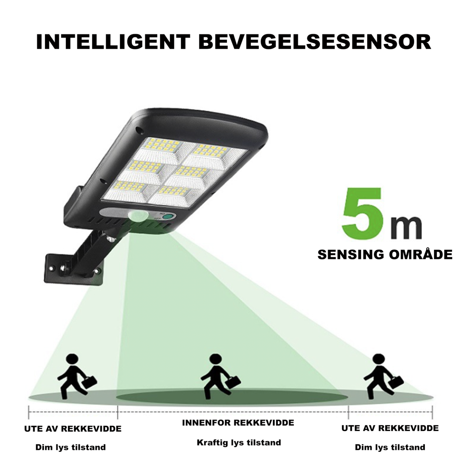 IlluminateSolar™- Det Ultimate Solcelledrevne LED-Lyset