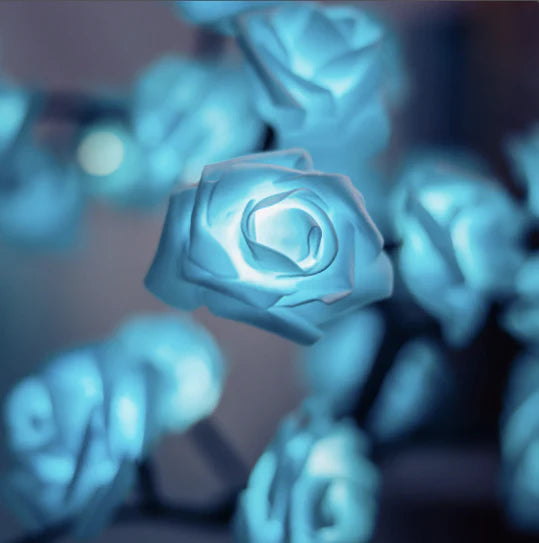 Beroligende rosetrelampe